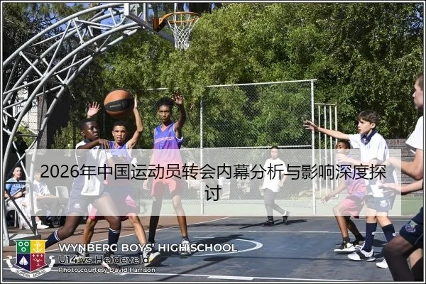 2026年中国运动员转会内幕分析与影响深度探讨