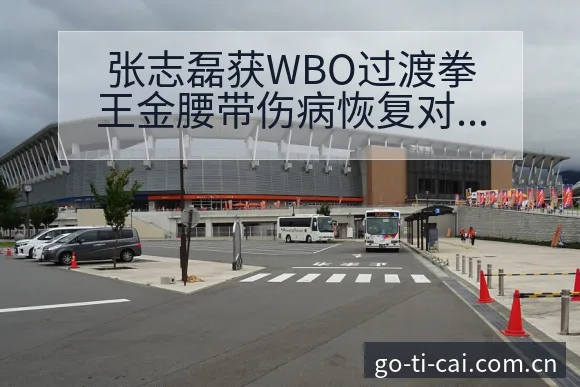 张志磊获WBO过渡拳王金腰带伤病恢复对赛程影响战术价值分 - 中国体彩