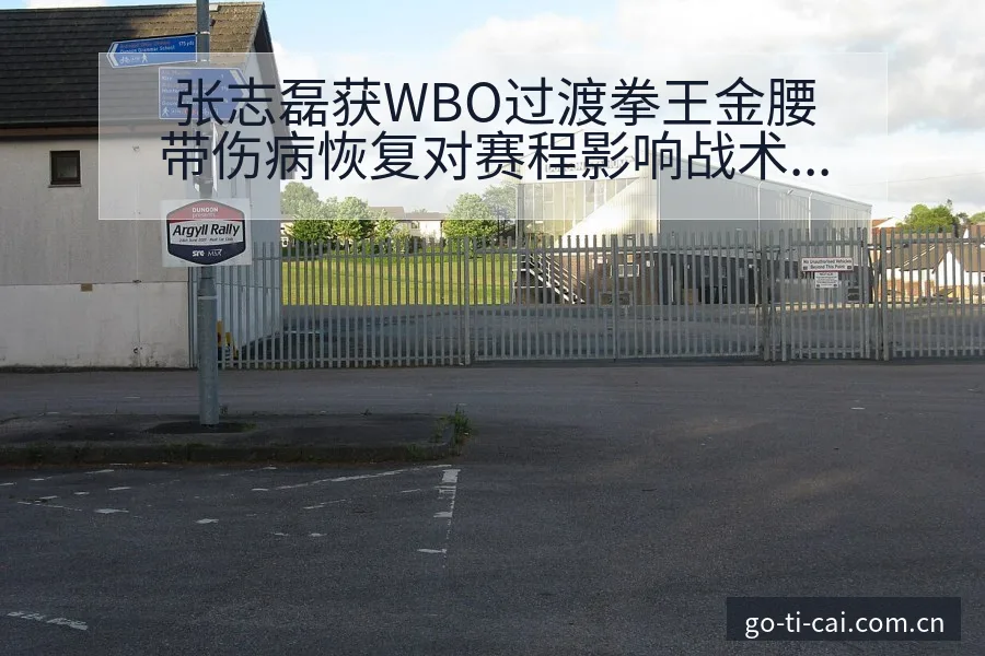 张志磊获WBO过渡拳王金腰带伤病恢复对赛程影响战术价值分 - 中国体彩
