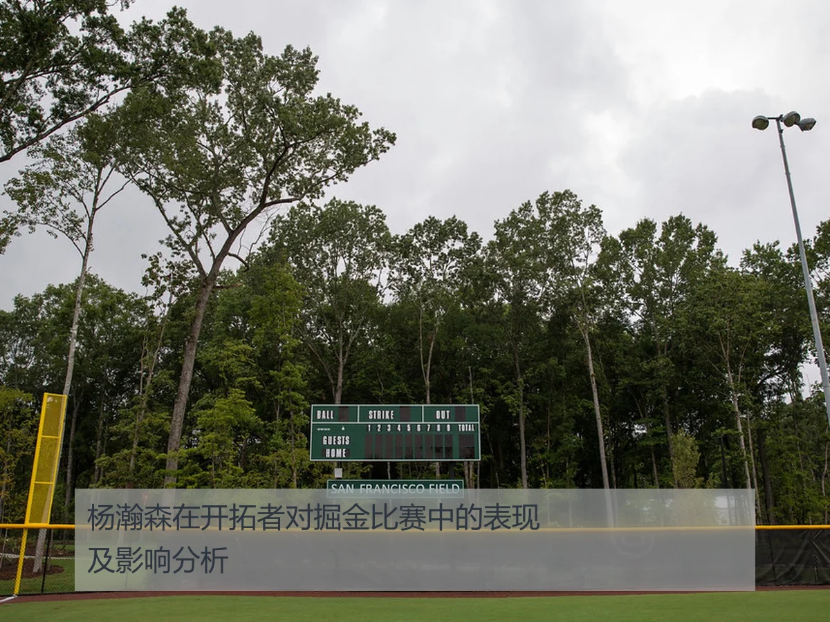 杨瀚森在开拓者对掘金比赛中的表现及影响分析
